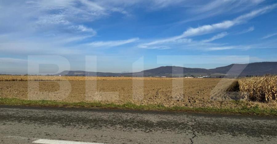 Vand 53 de ari de teren intravilan in Arcalia - 3