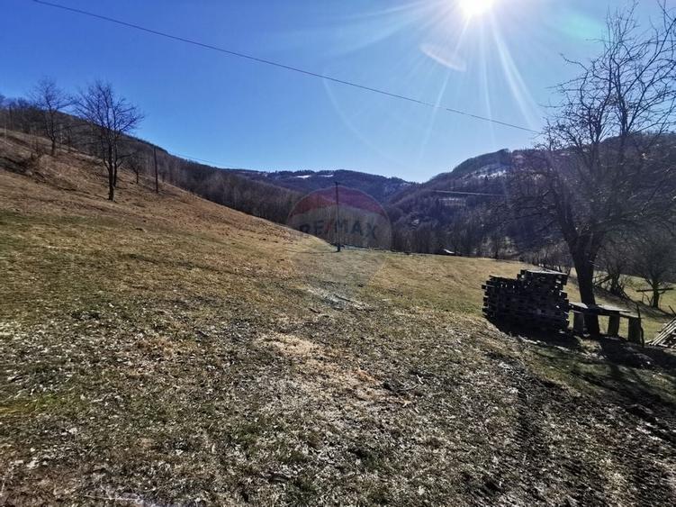 De vânzare teren intravilan 10,100 mp, cu anexă, Munteni - 6