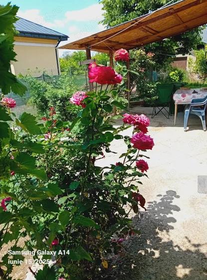 Vand casa sau schimb cu garsoniera confort 1 - 3