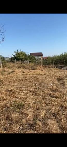 Teren intravilan AGIGEA - 3