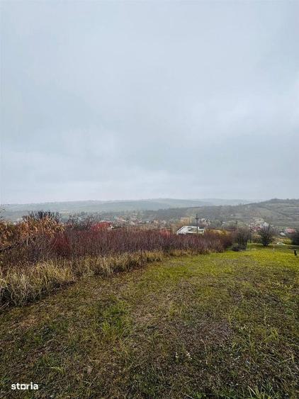 Teren Intravilan 2149 mp strada Sofiei - 4