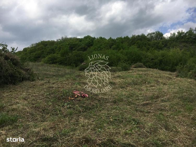 Teren intravilan 700 mp-ideal casa-Dealul Jelnei - 2