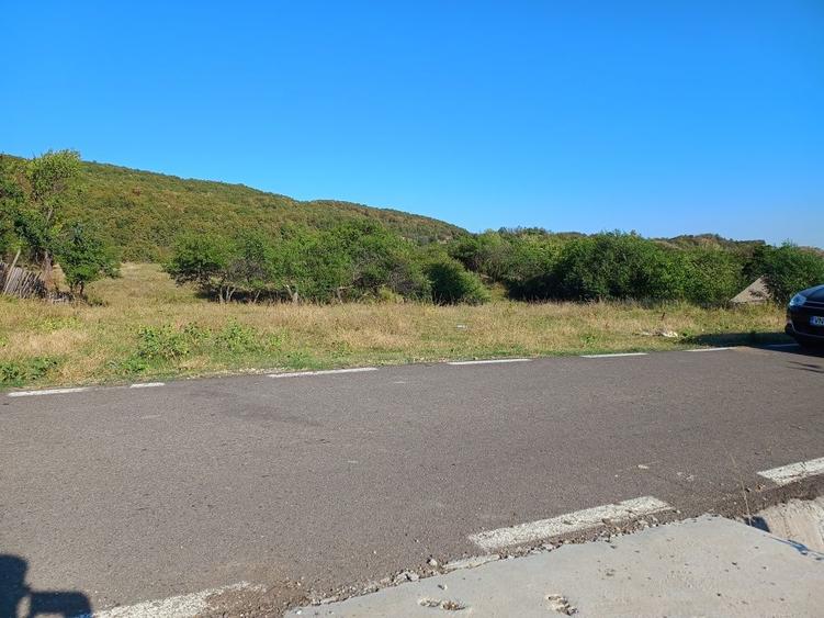 Teren intravilan sat Poiana Cristei - 4