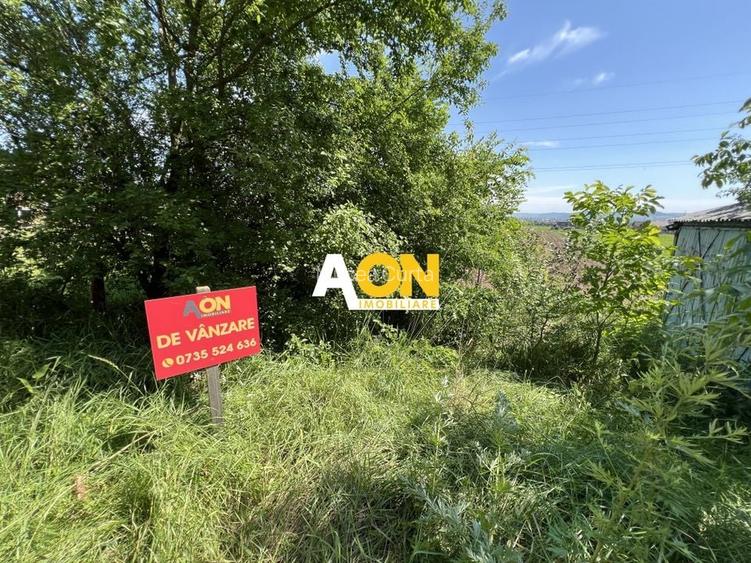 Teren de vanzare cu toate utilitatile si asfalt, 1001MP Teren de vanzare cu toate utilitatile si asfalt, 1001MP