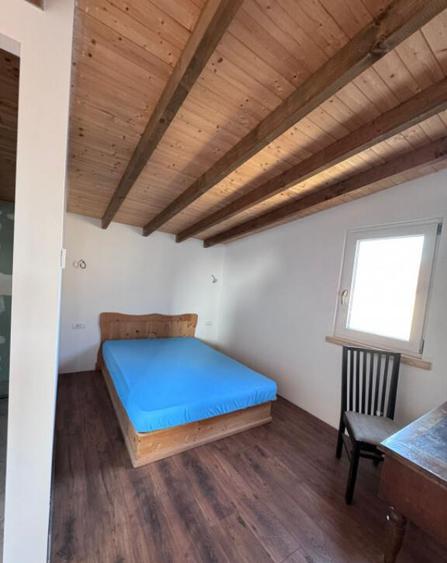 ???? Casa moderna aproape de lac, 4 dormitoare, teren gene - 3