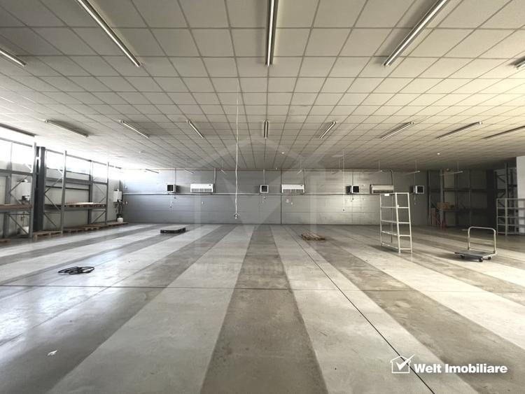 Depozit 600mp 2 rampe + birouri 180mp, 14 parcari, Lidl - Baciu - 5