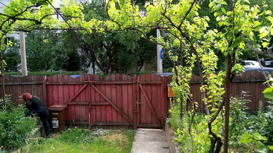 Casa intabulata pe 250 mp teren deschidere 13 metri ultracentral - 3