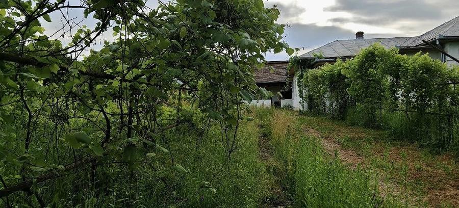 Casă cu Teren 4300 Mp în Musculești