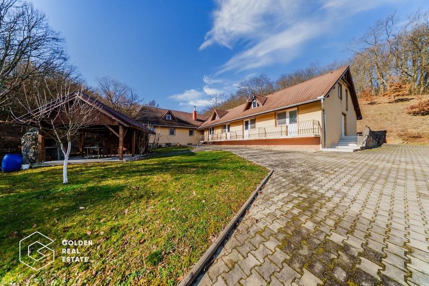 Proprietate pretabila pentru afacere, Cladova - 1