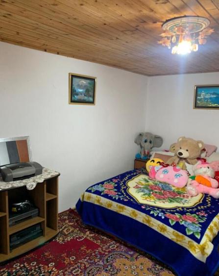 Casa P+1 com. Bobicesti , teren 4500mp. - 13