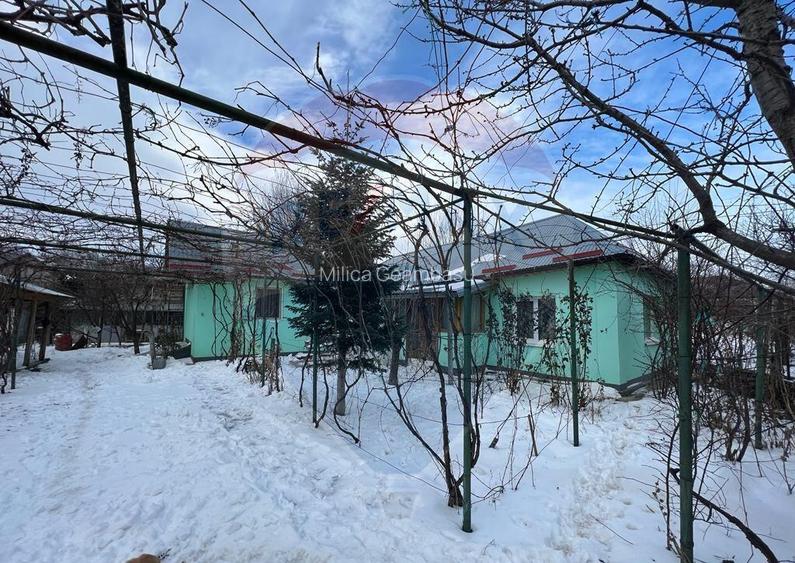 Casa /3 camere Calimanesti