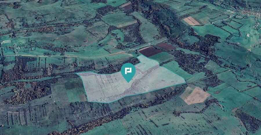 Teren de 87 Hectare de Arendat in Bara, Timi? - 3