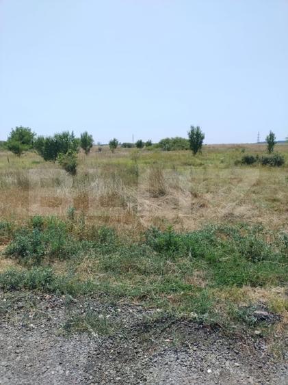 Parcele intravilan, 500 mp, str Constantei, langa Eurocartier - 2