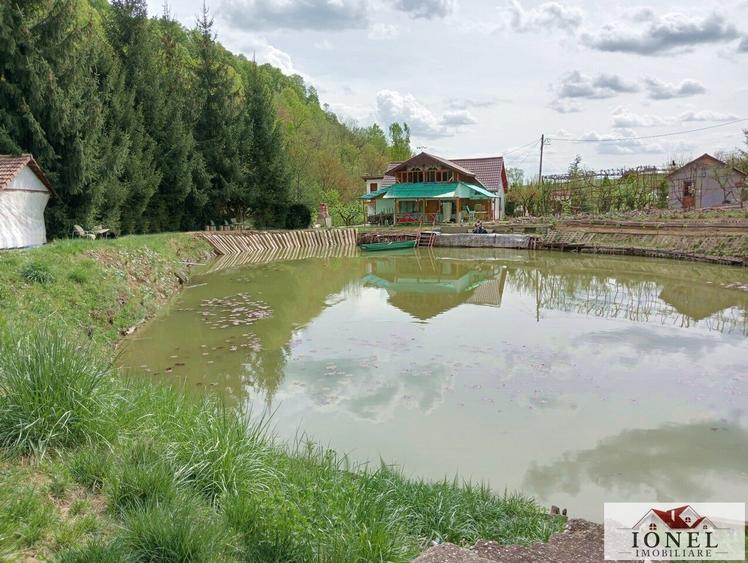 Casa de vacanta cu balta de peste de vanzare in Glogovet (Valea Lunga) - Blaj - 10