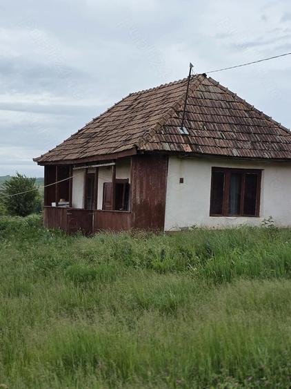 Vand casa Saulia (Groapa Radai), 5000m patrati - 3