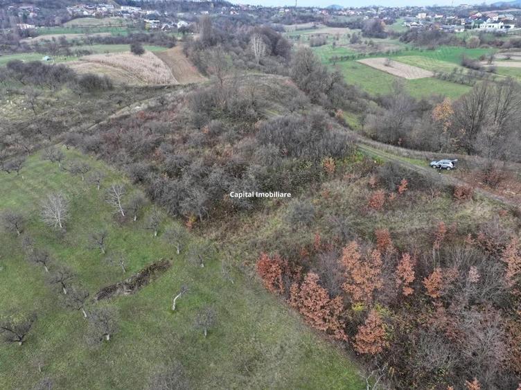 Teren de vanzare in Gro?i, Maramure?, 55 ari - 8