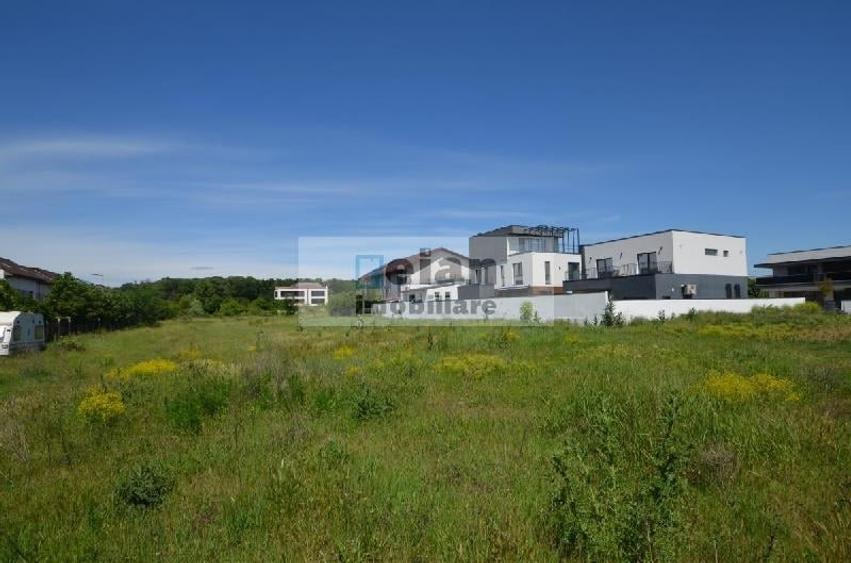 Voluntari - Matei Millo Teren 420 Mp Utili, Deschidere 14 Ml - 4