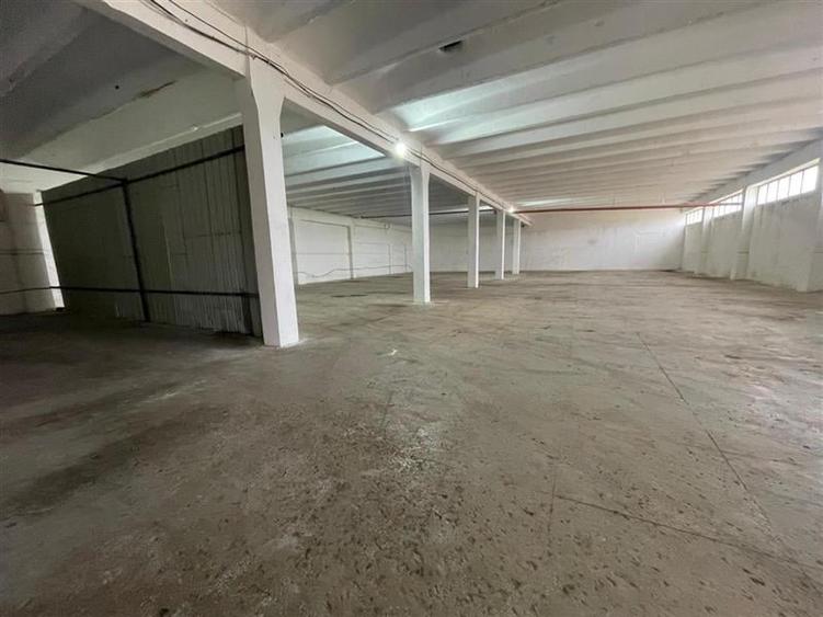 Hale de inchiriat zona Prislav Tulcea - 2