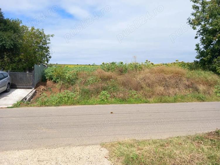 Teren strada Principala Zapodia Traian - 1