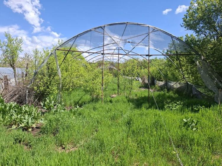 Teren intravilan 2312mp+ casa Vidra Sintesti - 1