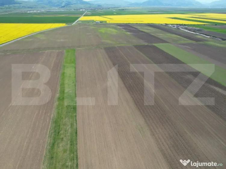 Teren extravilan, 17700mp, zona Prejmer - 1