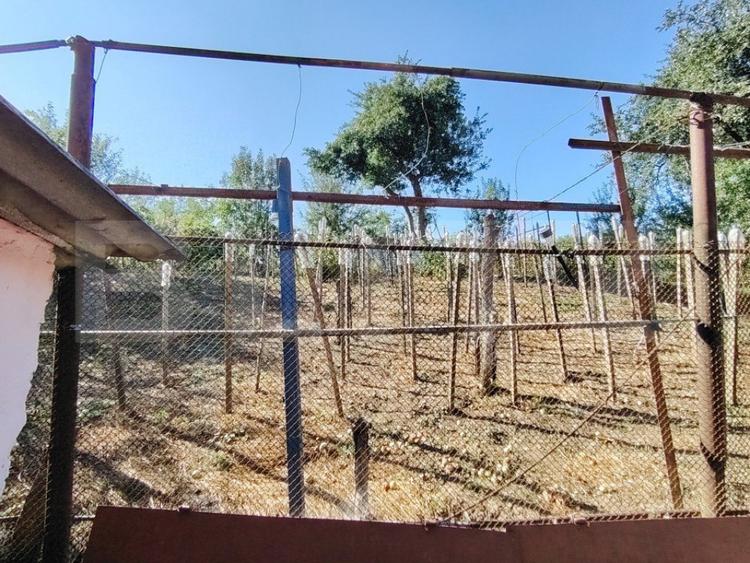 Vanzare casa cu 3 camere in Bardesti, 1600 mp teren - 17