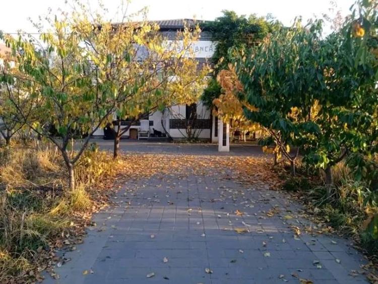 Închiriez casa la asfalt cu 1400m teren - 1