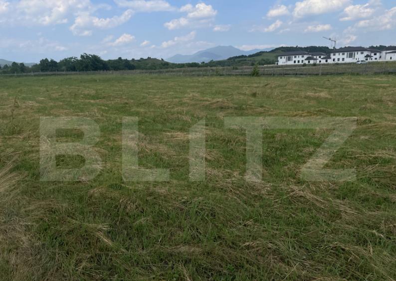 Teren extravilan 1200 mp Dorolea, aproape de Manastire - 1