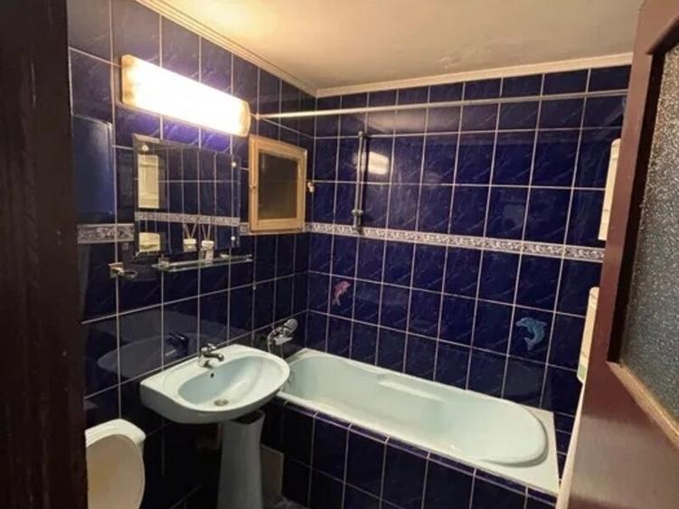 Colentina Rau, Mc Donalds, Parc Plumbuita, Centrala Termica, investitie, 2bai, - 7