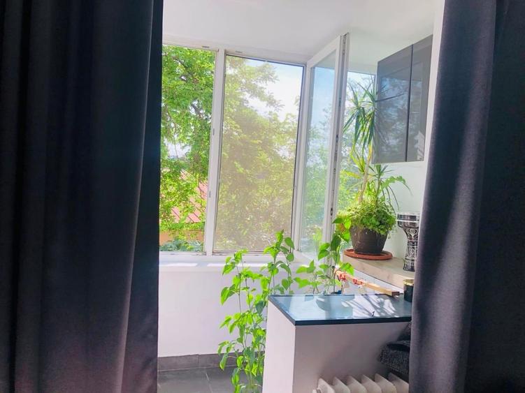 Apartament cu 2 camere,  renovat, etaj 2,  strada Iza - cu loc de parcare - 10