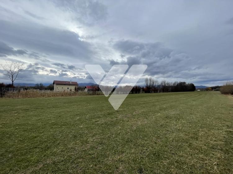 Teren intravilan pentru dezvoltare rezidentiala 4400 mp - 2