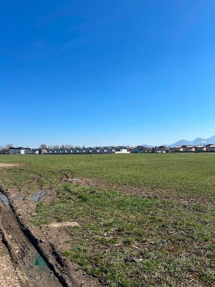 Vand 8112  mp teren industrial/comercial in BRASOV-Bartolomeu - 6