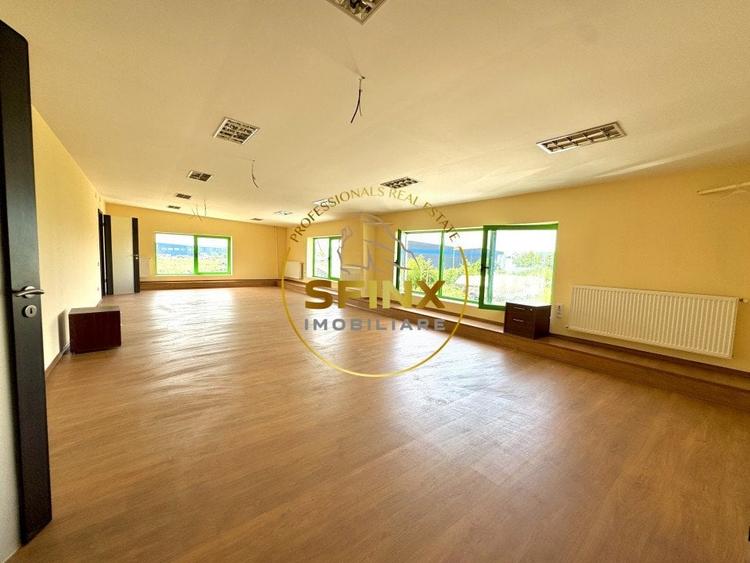 Hala si birouri zona Mogosoaia sos Odai - 10