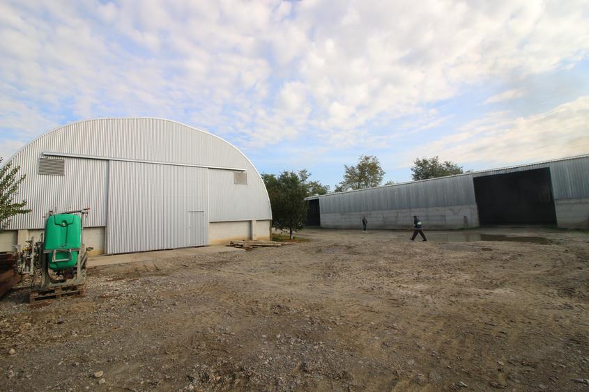 Baza de cereale in functiune , 4500 mp intravilan + 2 depozite (aprox 1000mp) - 8