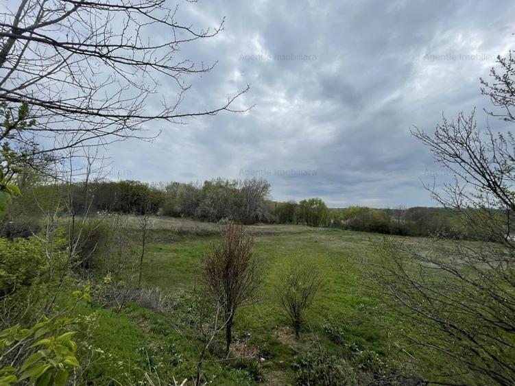 Teren Pantelimon - Cernica Baza Agrement - Deschidere LAC - 5