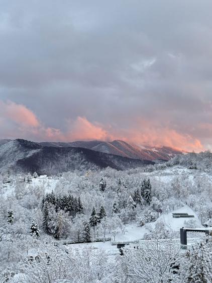 Apartament Premium, 3 Camere , Drumul Poienii Stejaris - Comision 0 - 7