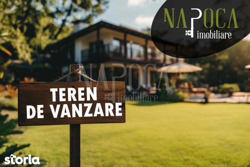 Teren extravilan agricol de vanzare in Iris, Cluj - 3