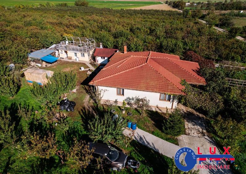 ID 7785 LIVADA SABANGIA DE VANZARE - 6