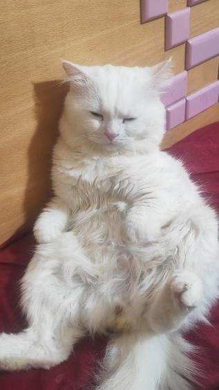 Inchiriez garsoniera 300euro fix la 10min de Unirii LIBERA ! - 2