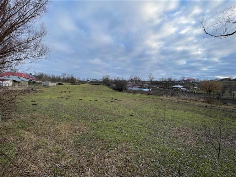 Teren de vanzare in Frecatei Tulcea - 8