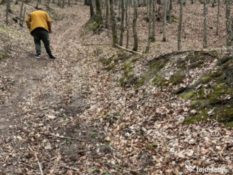 Teren extravilan de vanzare, 3.5 ha padure + pasune in Comun - 9