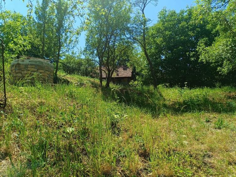 0 comision, Teren de 906 mp cu casa-Corusu, com Baciu - 6