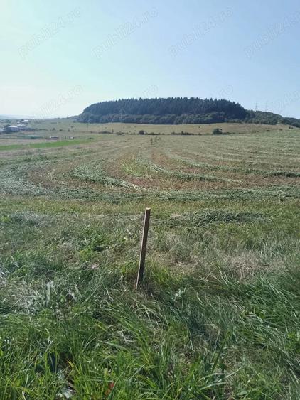 Chinteni 40 euro mp - 12