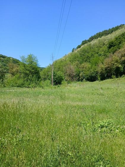 Vand teren in satul Carmazinesti, comuna Gurasada ,judetul Hunedoara - 1