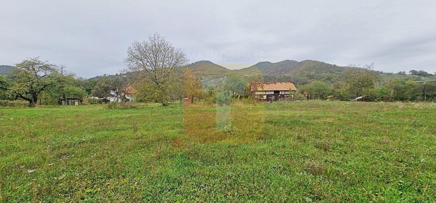 Teren intravilan de vânzare – 1.350 mp – Comuna Alexandru cel Bun - 5