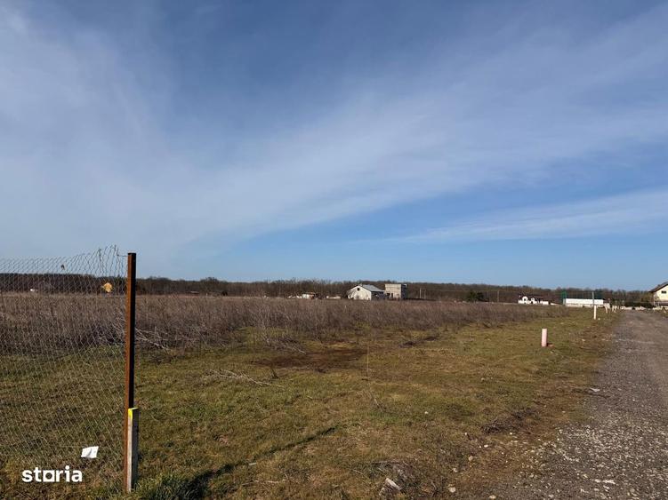 TEREN 450 mp , Strada Violetelor ,Branesti - 1