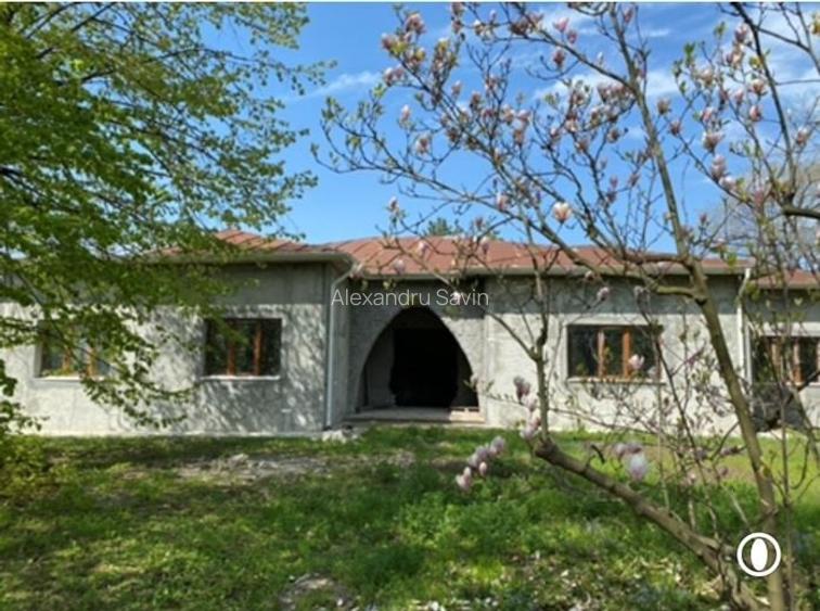 Cladire comerciala cu acces direct din DN1 si spatiu verde