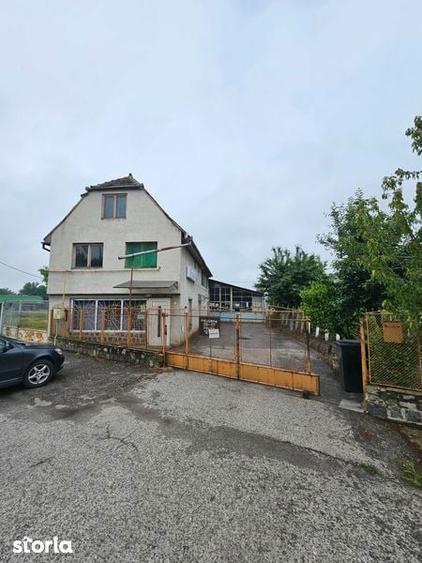Casa, spatiu comercial, vad comercial, 7000 m2 - 5