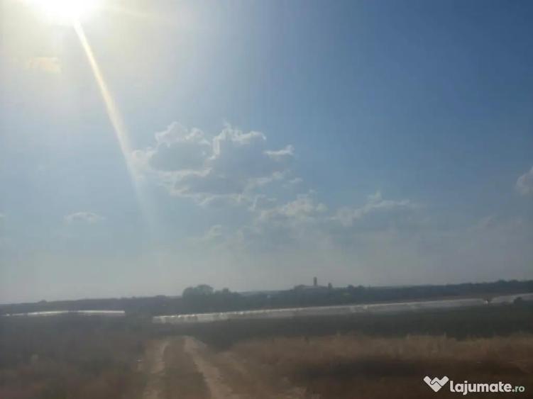 Teren intravilan, 500mp, zona Malu Mare, comision 0% - 4