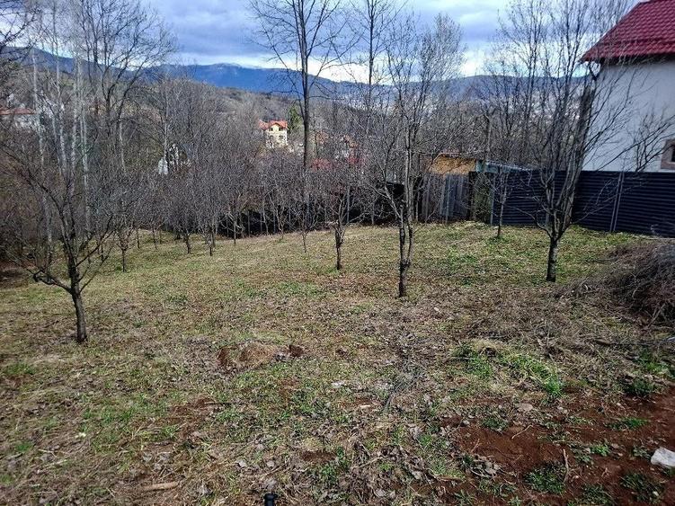 Teren de vanzare Breaza, 873mp Str Crangului - 1